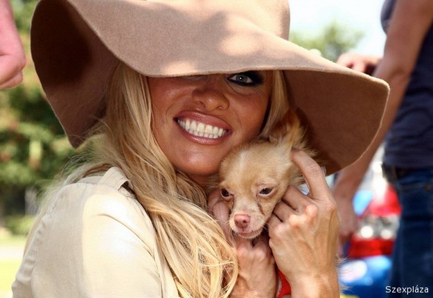 Pamela Anderson